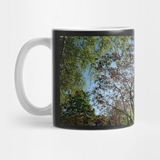 Stand under the trees in autumn to experience colour Mug